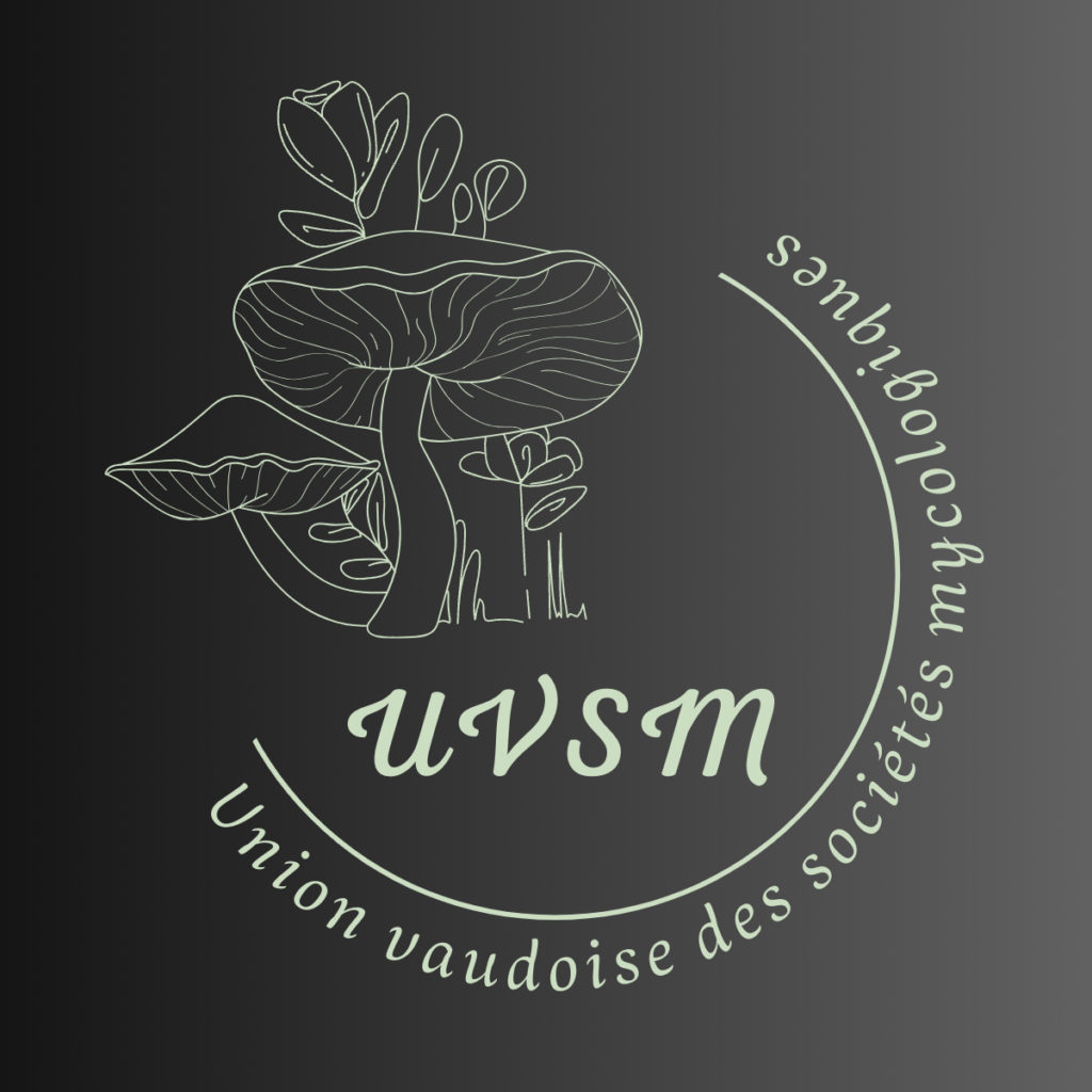 Logo-uvsm-new-1024x1024